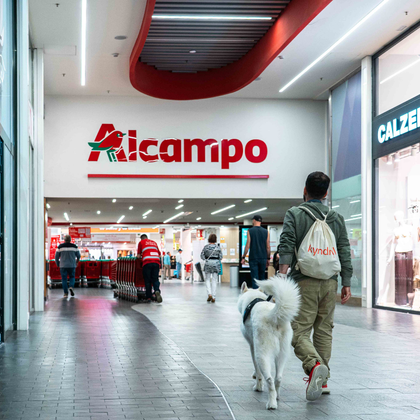 Servicio Dog Friendly