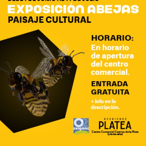 Exposición en Xperience Platea: Abejas, paisaje cultural