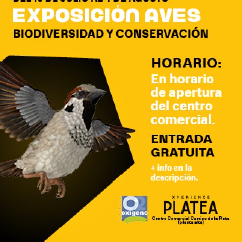Exposición en Xperience Platea: Aves, biodiversidad y conservación